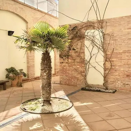 Stella Maris Apartamento